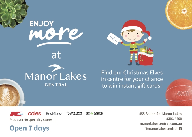 Manor Lakes Christmas banner